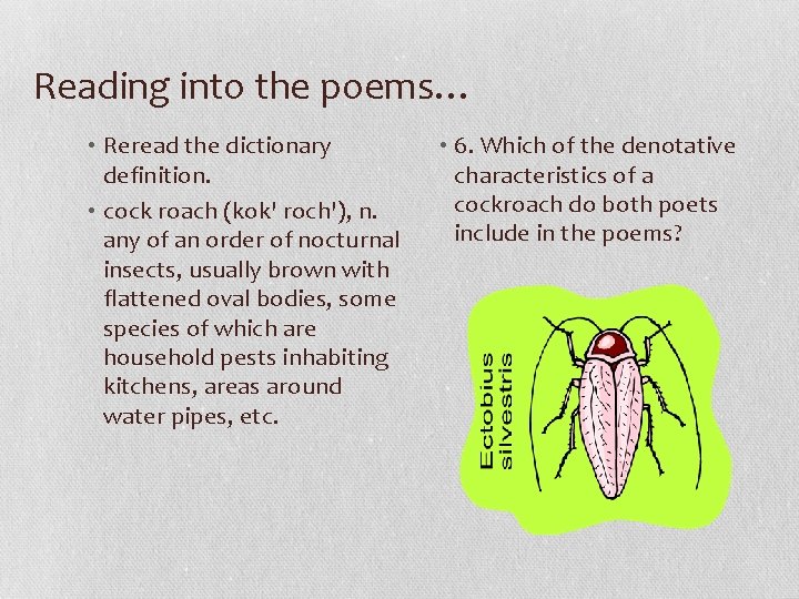 Reading into the poems… • Reread the dictionary definition. • cock roach (kok' roch'),