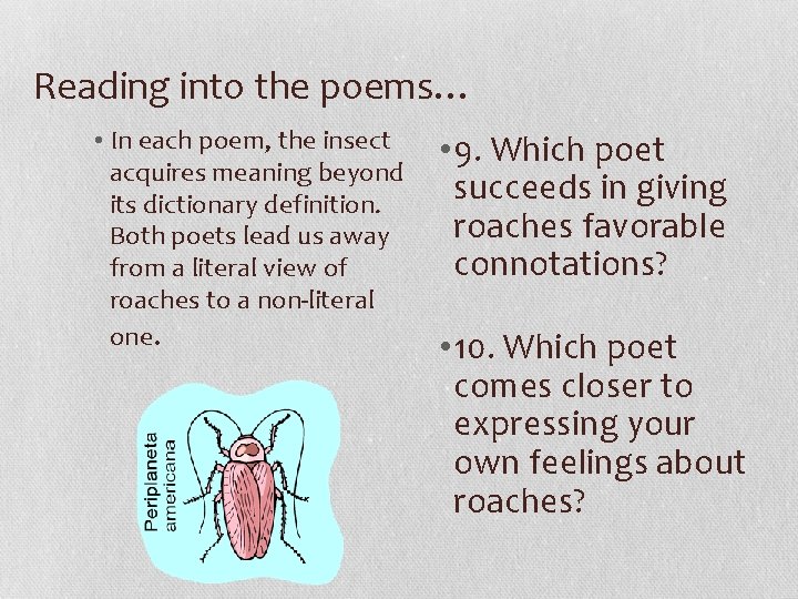 Reading into the poems… • In each poem, the insect acquires meaning beyond its