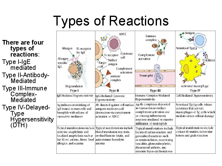 Types of Reactions There are four types of reactions: Type I-Ig. E mediated Type