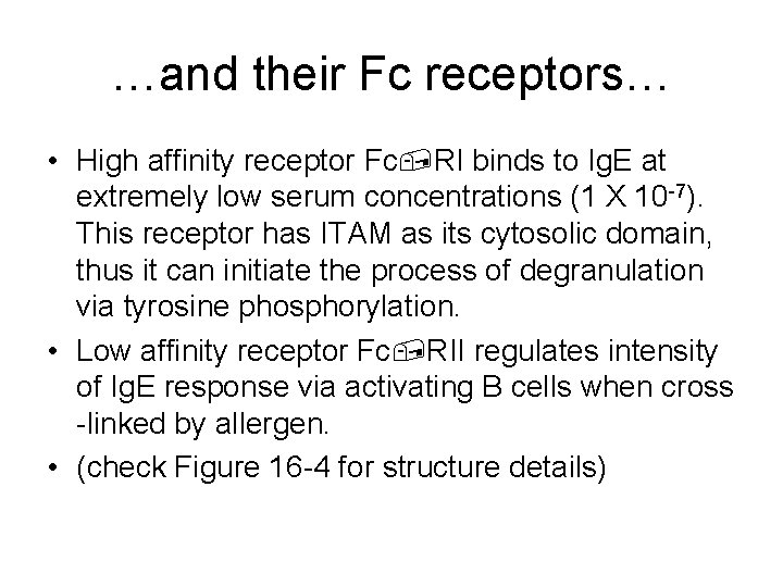 …and their Fc receptors… • High affinity receptor Fc, RI binds to Ig. E