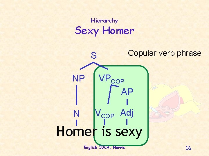 Hierarchy Sexy Homer Copular verb phrase S NP VPCOP AP N VCOP Adj Homer