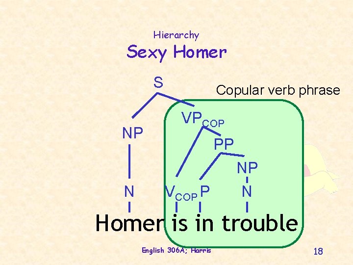 Hierarchy Sexy Homer S NP N Copular verb phrase VPCOP PP VCOP P NP