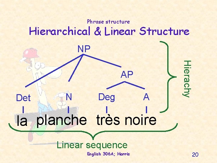 Phrase structure Hierarchical & Linear Structure NP Det N Deg A Hierachy AP la