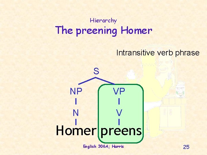 Hierarchy The preening Homer Intransitive verb phrase S NP VP N V Homer preens