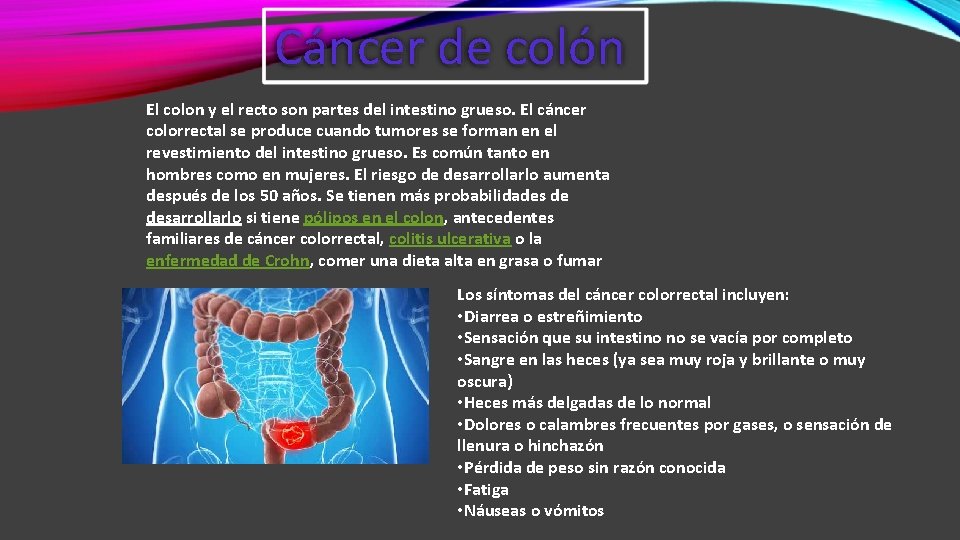 Cáncer de colón El colon y el recto son partes del intestino grueso. El