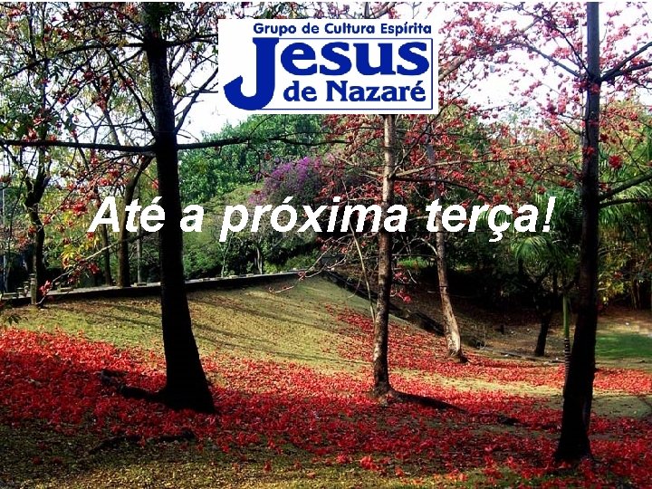 Até a próxima terça! 