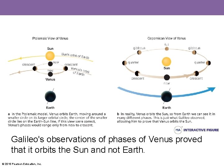 Galileo's observations of phases of Venus proved that it orbits the Sun and not
