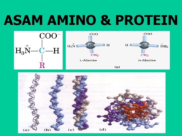 ASAM AMINO & PROTEIN 