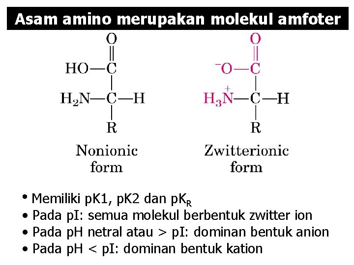 Asam amino merupakan molekul amfoter • Memiliki p. K 1, p. K 2 dan