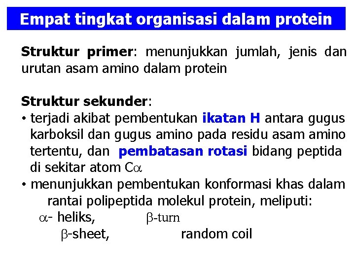 Empat tingkat organisasi dalam protein Struktur primer: menunjukkan jumlah, jenis dan urutan asam amino