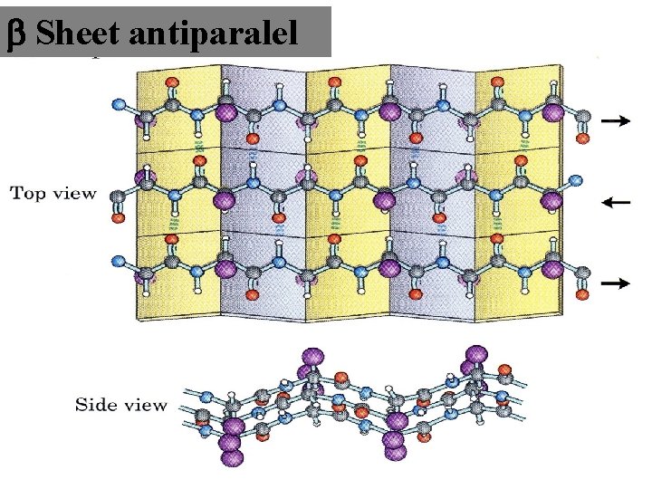  Sheet antiparalel 