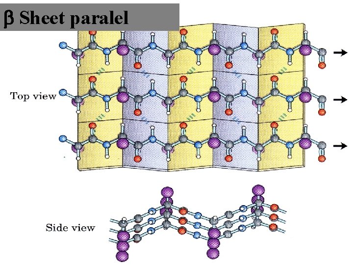  Sheet paralel 