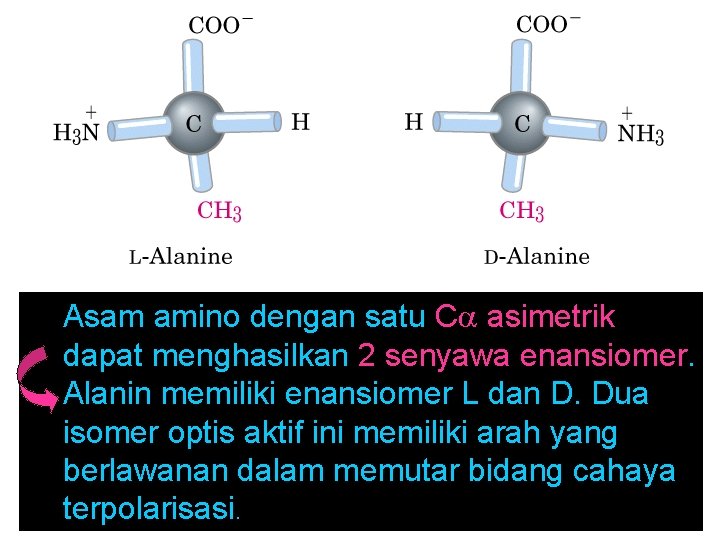 Asam amino dengan satu C asimetrik dapat menghasilkan 2 senyawa enansiomer. Alanin memiliki enansiomer