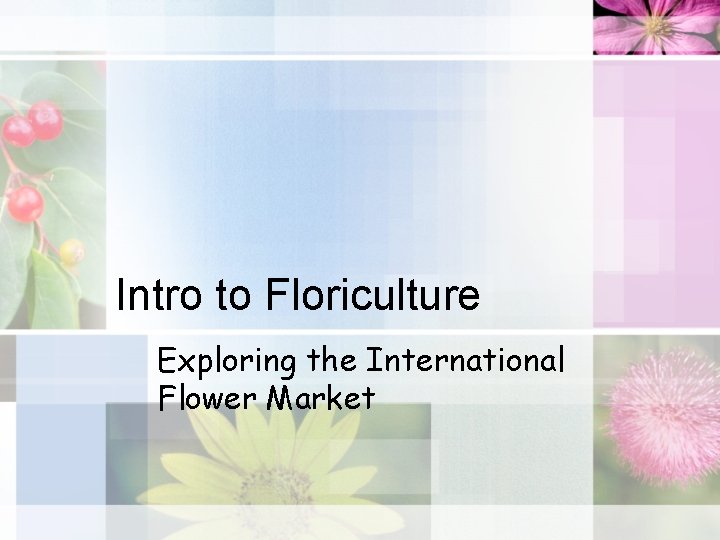 Intro to Floriculture Exploring the International Flower Market 