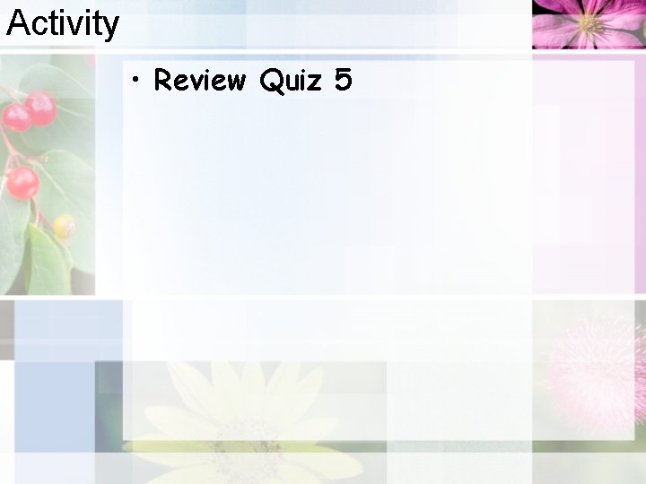 Activity • Review Quiz 5 