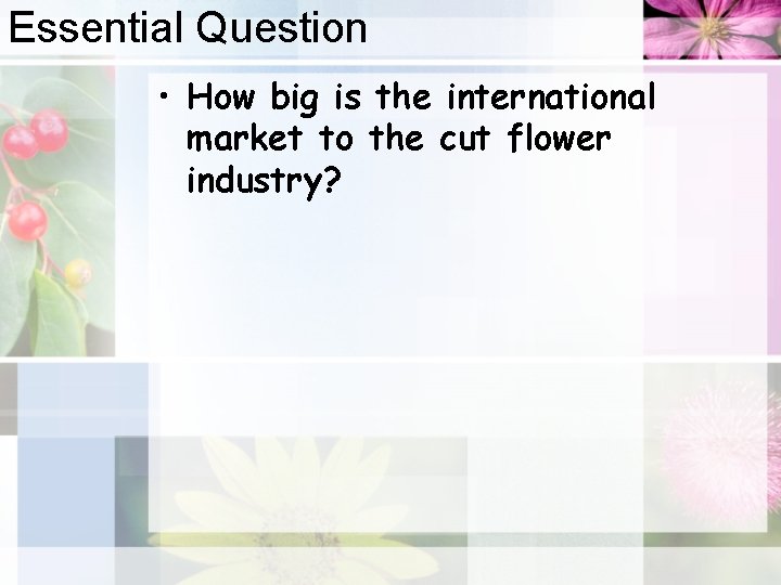 Essential Question • How big is the international market to the cut flower industry?