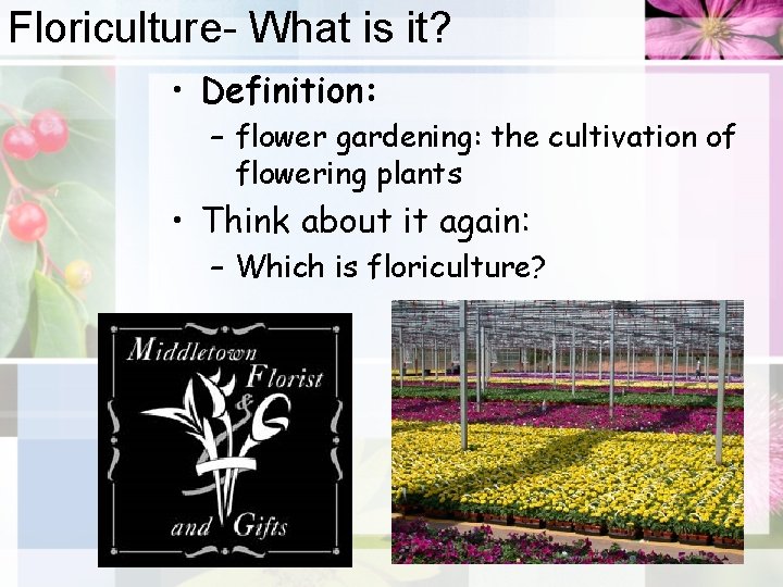 Floriculture- What is it? • Definition: – flower gardening: the cultivation of flowering plants
