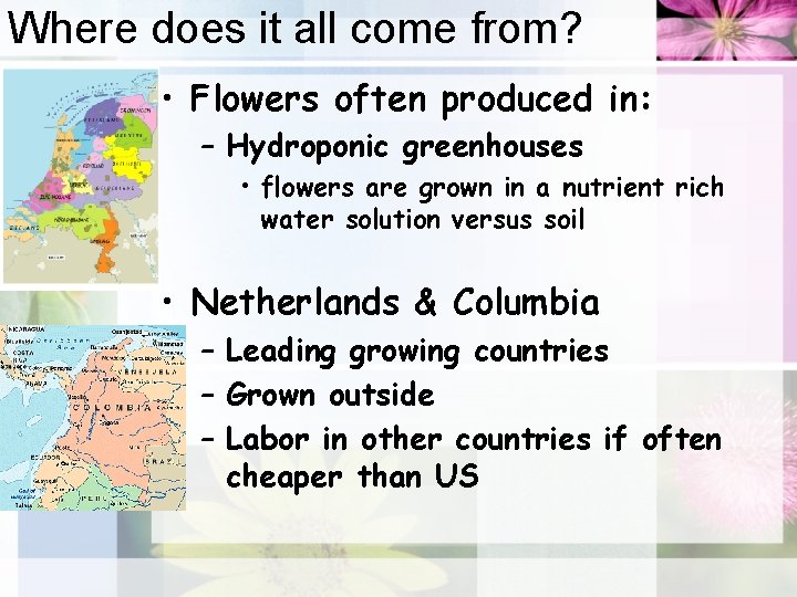 Where does it all come from? • Flowers often produced in: – Hydroponic greenhouses