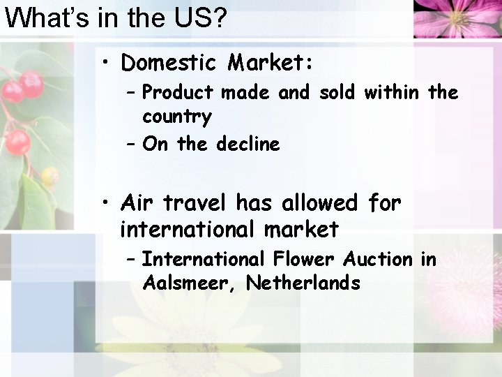 What’s in the US? • Domestic Market: – Product made and sold within the