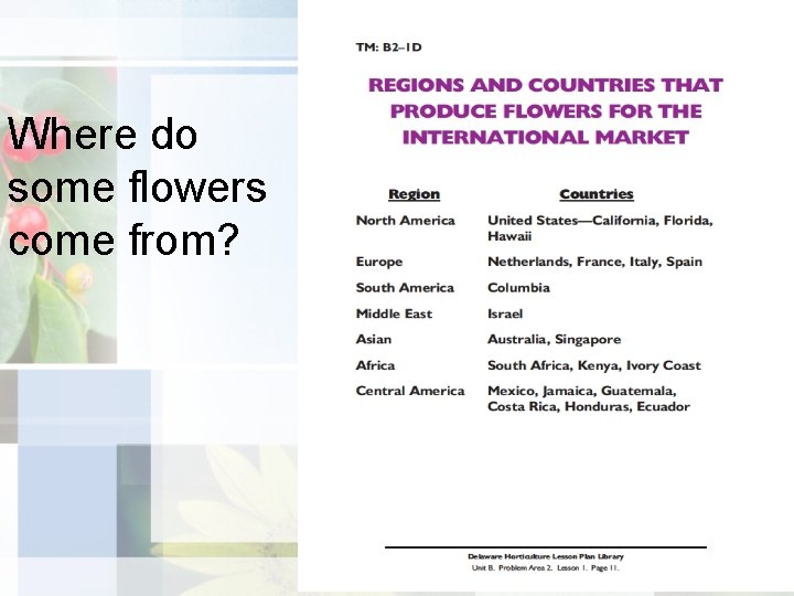 Where do some flowers come from? 