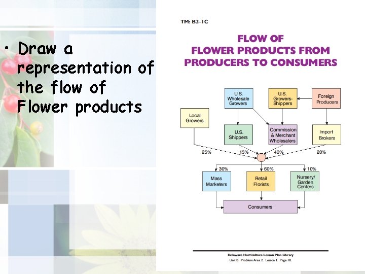  • Draw a representation of the flow of Flower products 