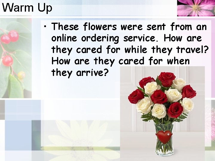 Warm Up • These flowers were sent from an online ordering service. How are