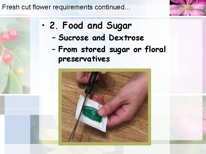 Fresh cut flower requirements continued… • 2. Food and Sugar – Sucrose and Dextrose