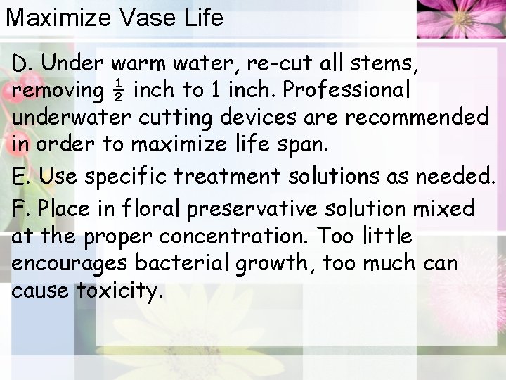 Maximize Vase Life • D. Under warm water, re-cut all stems, removing ½ inch