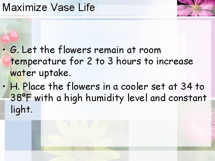 Maximize Vase Life • G. Let the flowers remain at room temperature for 2