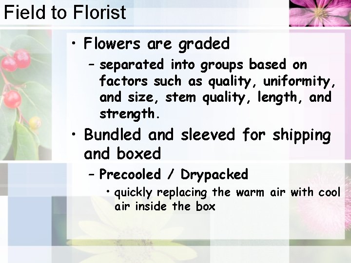 Field to Florist • Flowers are graded – separated into groups based on factors