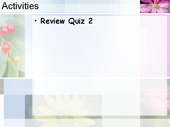 Activities • Review Quiz 2 