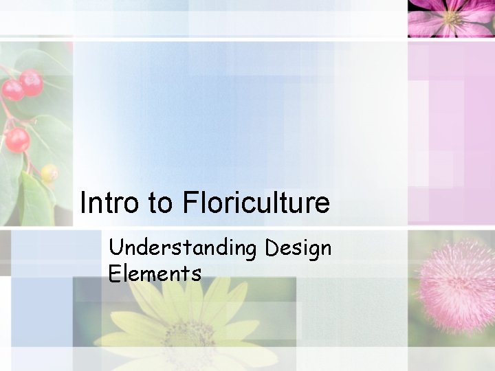 Intro to Floriculture Understanding Design Elements 