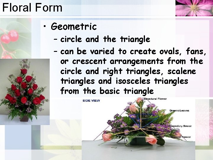 Floral Form • Geometric – circle and the triangle – can be varied to