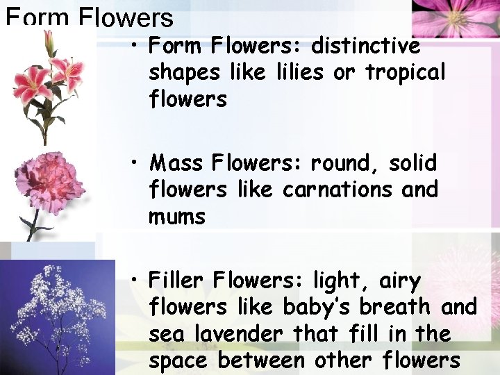 Form Flowers • Form Flowers: distinctive shapes like lilies or tropical flowers • Mass