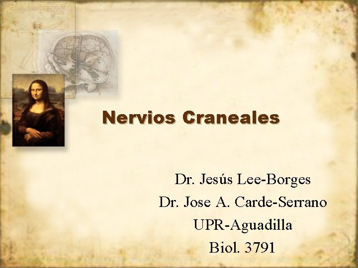 Nervios Craneales Dr. Jesús Lee-Borges Dr. Jose A. Carde-Serrano UPR-Aguadilla Biol. 3791 