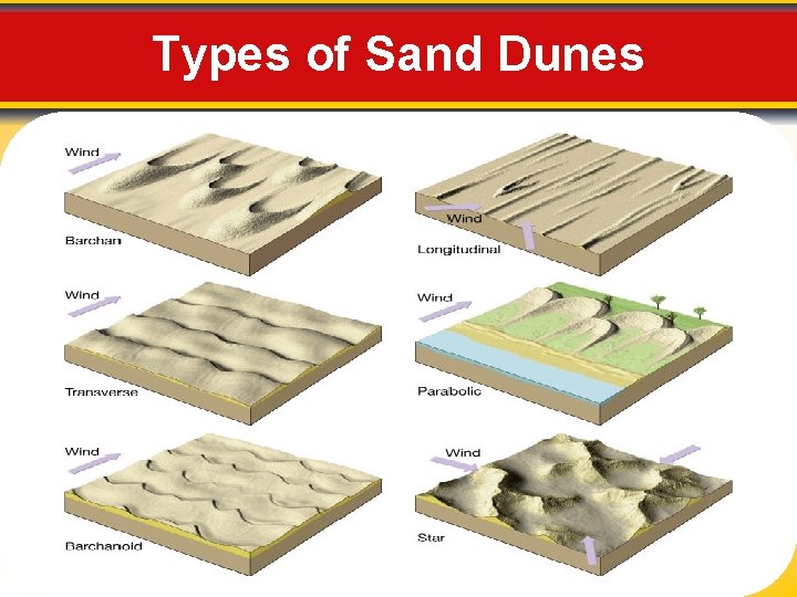 Types of Sand Dunes 