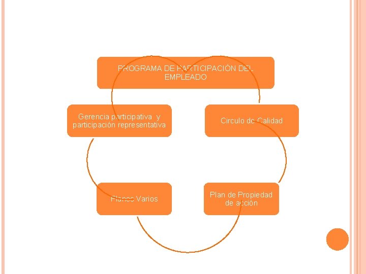 PROGRAMA DE PARTICIPACIÓN DEL EMPLEADO Gerencia participativa y participación representativa Planes Varios Circulo de
