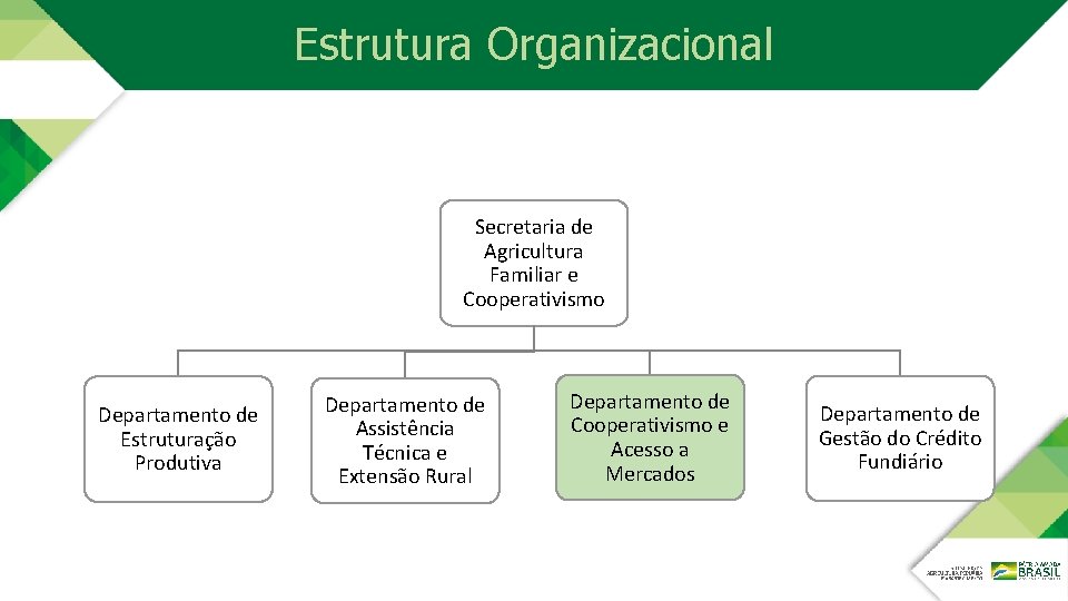 Estrutura Organizacional Secretaria de Agricultura Familiar e Cooperativismo Departamento de Estruturação Produtiva Departamento de