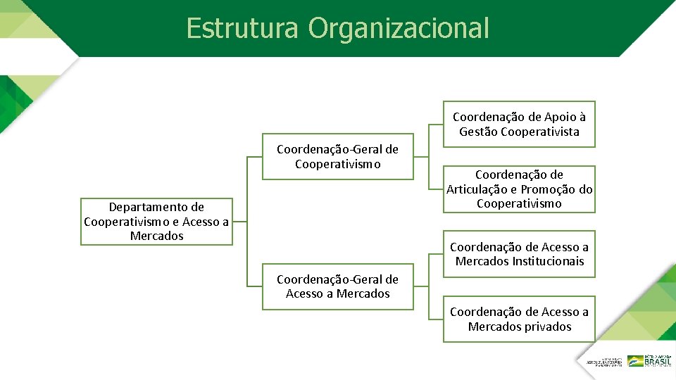 Estrutura Organizacional Coordenação de Apoio à Gestão Cooperativista Coordenação-Geral de Cooperativismo Departamento de Cooperativismo