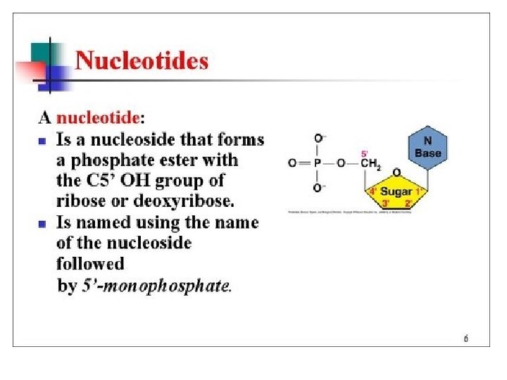 DNA RNA 