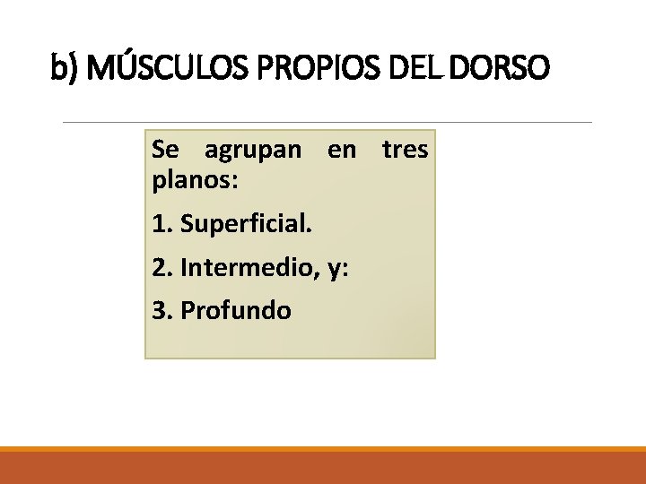 b) MÚSCULOS PROPIOS DEL DORSO Se agrupan en tres planos: 1. Superficial. 2. Intermedio, b) MÚSCULOS PROPIOS DEL DORSO Se agrupan en tres planos: 1. Superficial. 2. Intermedio,
