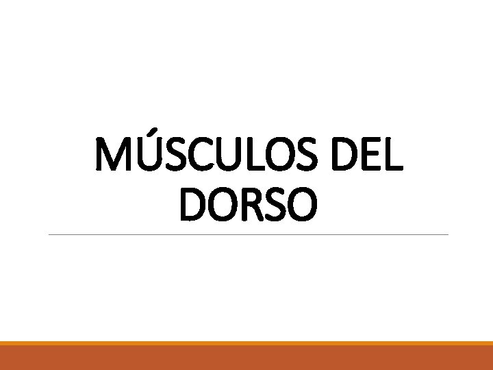 MÚSCULOS DEL DORSO MÚSCULOS DEL DORSO