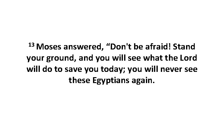 13 Moses answered, “Don't be afraid! Stand your ground, and you will see what 13 Moses answered, “Don't be afraid! Stand your ground, and you will see what