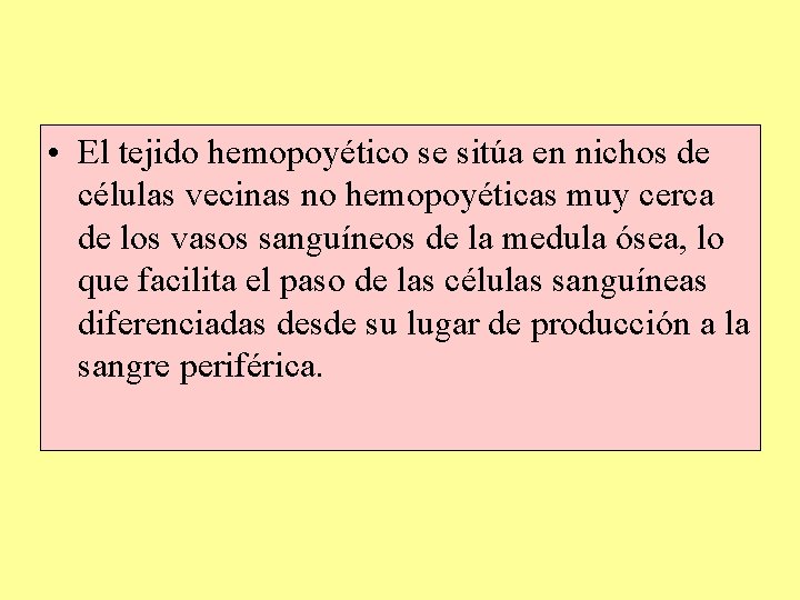 • El tejido hemopoyético se sitúa en nichos de células vecinas no hemopoyéticas • El tejido hemopoyético se sitúa en nichos de células vecinas no hemopoyéticas