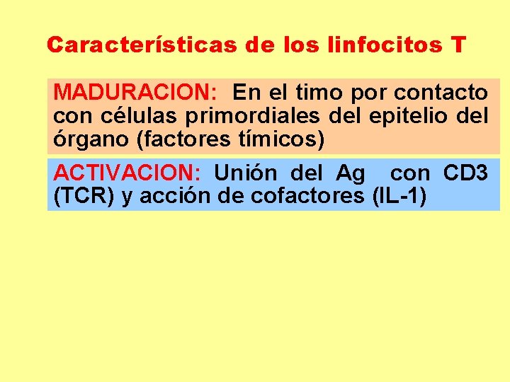 Características de los linfocitos T MADURACION: En el timo por contacto con células primordiales Características de los linfocitos T MADURACION: En el timo por contacto con células primordiales