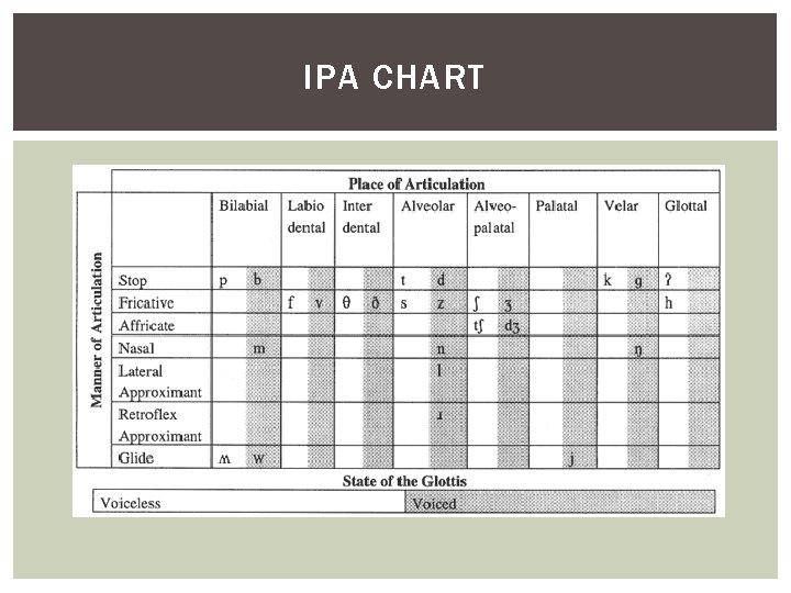 IPA CHART 