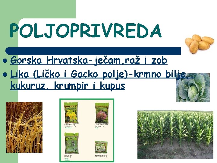 POLJOPRIVREDA Gorska Hrvatska-ječam, raž i zob l Lika (Ličko i Gacko polje)-krmno bilje, kukuruz,