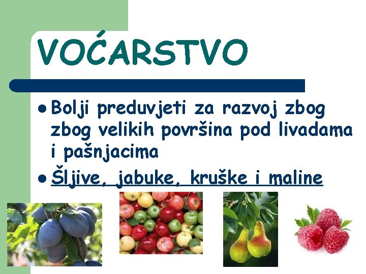 VOĆARSTVO l Bolji preduvjeti za razvoj zbog velikih površina pod livadama i pašnjacima l