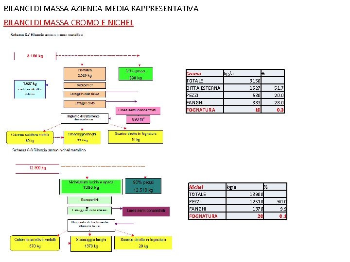 BILANCI DI MASSA AZIENDA MEDIA RAPPRESENTATIVA BILANCI DI MASSA CROMO E NICHEL Cromo kg/a