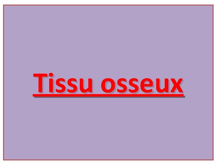 Tissu osseux 